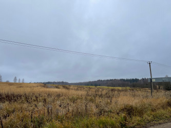 Продаются 4 (Четыре) Земельных участка сельскохозяйственного назначения (площадью 28 339 кв. м, 113 761 кв. м, 32499 кв. м и  346 044 кв. м), Московская обл., Солнечногорский р-н, ЗАО "Солнечное".