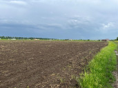 Продается земельный участок под аграрный бизнес в Краснодарском крае.